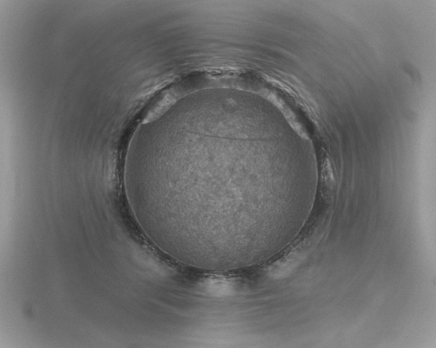 X0000116490416200912091424