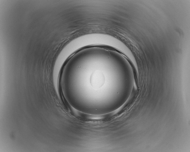 X0000116490417200912091424