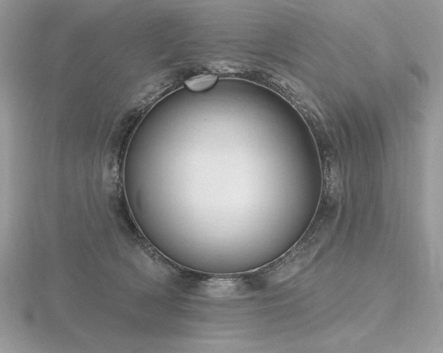 X0000116490418200912091424