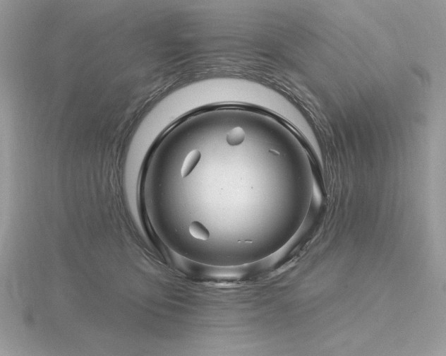 X0000116490419200912091424