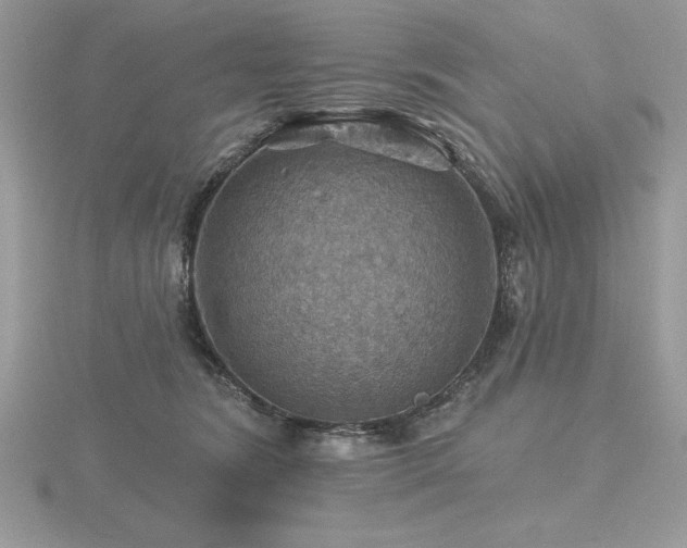 X0000116490420200912091424