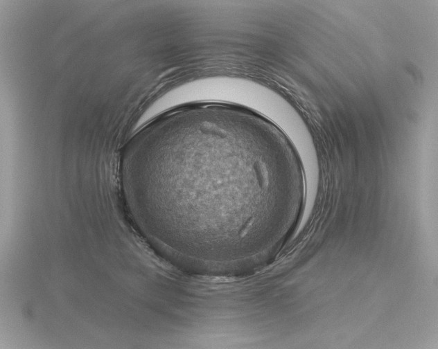 X0000116490421200912091424