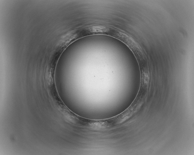 X0000116490422200912091424