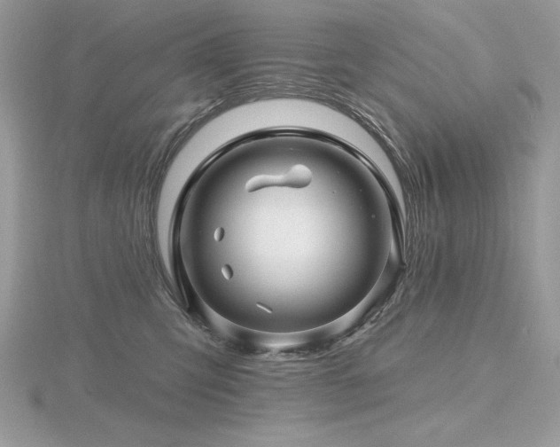 X0000116490423200912091424