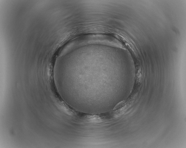 X0000116490424200912091424