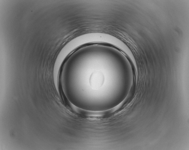 X0000116490425200912091424