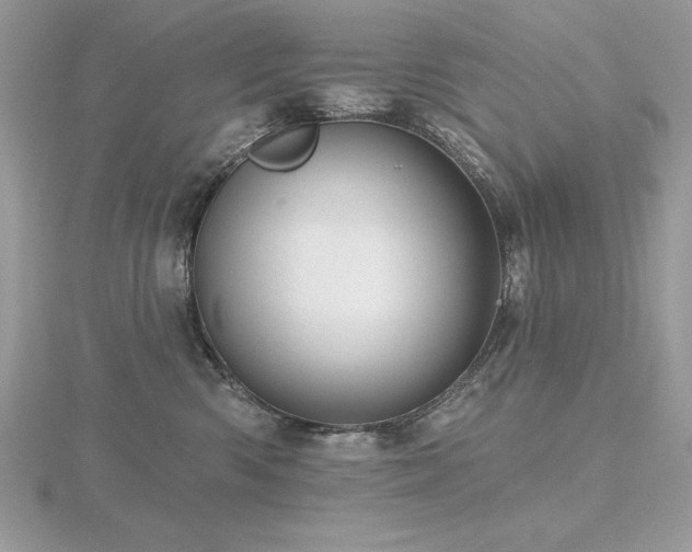 X0000116490426200912091424