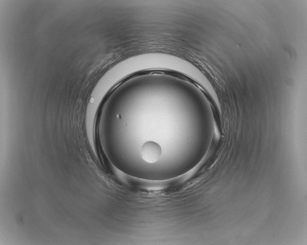 X0000116490427200912091424