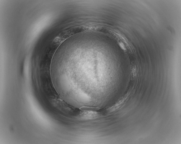 X0000116490429200912091424