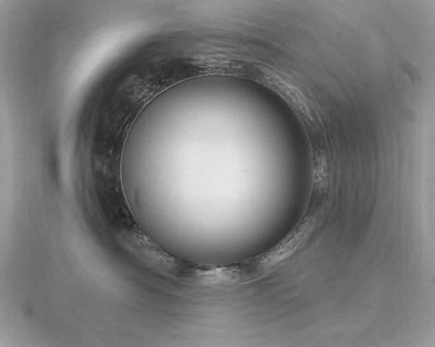 X0000116490430200912091424