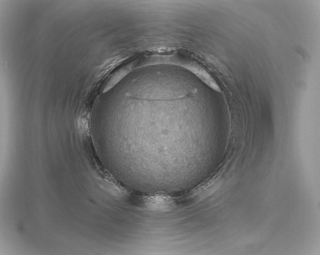 X0000116490432200912091424