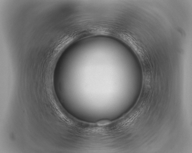 X0000116490433200912091424