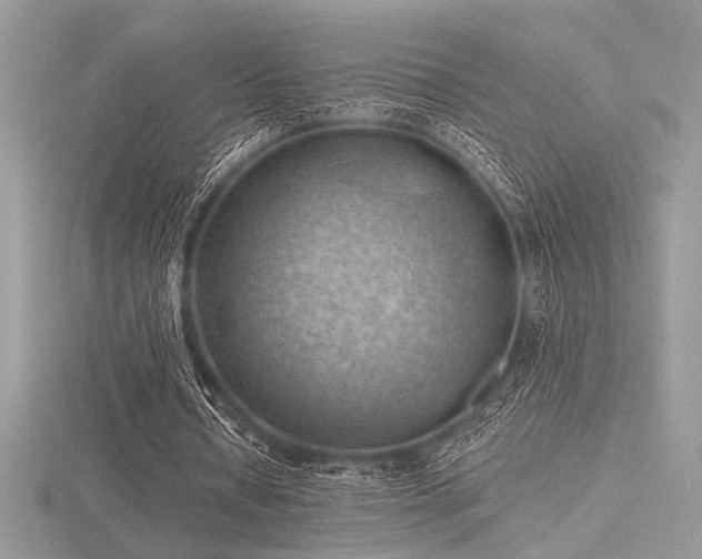 X0000116490434200912091424