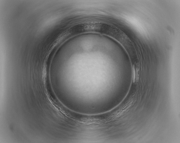 X0000116490435200912091424