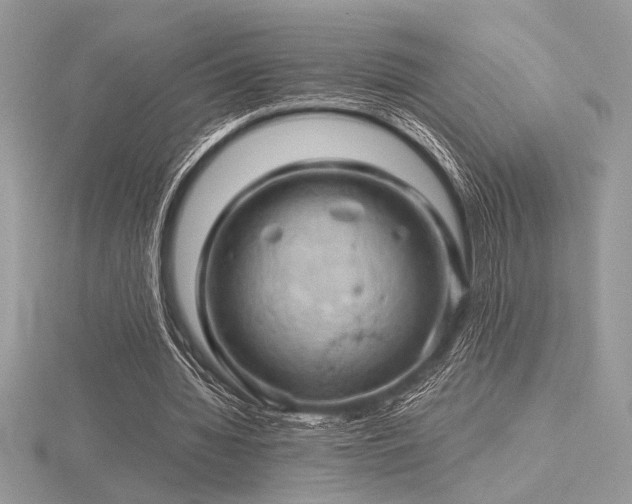 X0000116490436200912091424