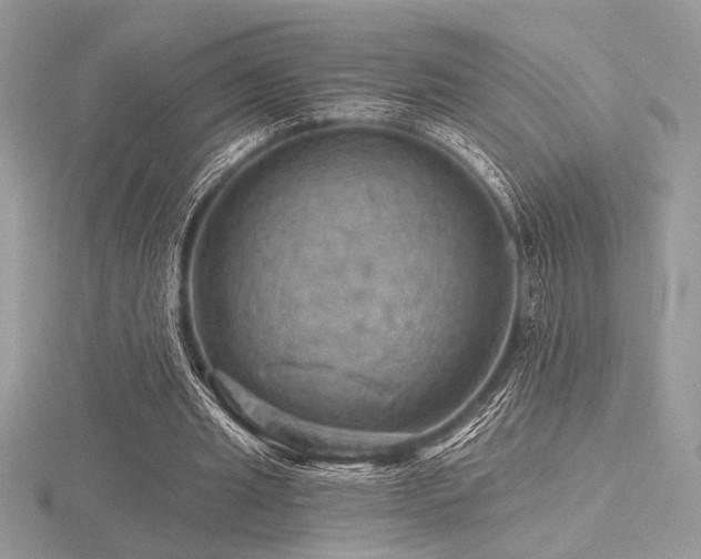 X0000116490437200912091424