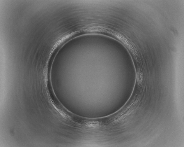 X0000116490438200912091424