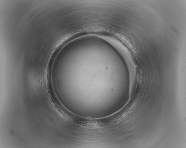 X0000116490439200912091424