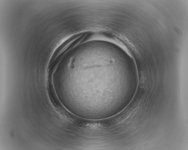 X0000116490440200912091424