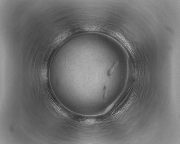 X0000116490441200912091424