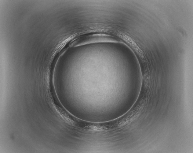 X0000116490442200912091424