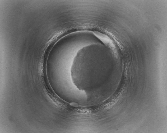 X0000116490443200912091424