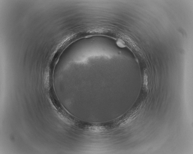 X0000116490444200912091424