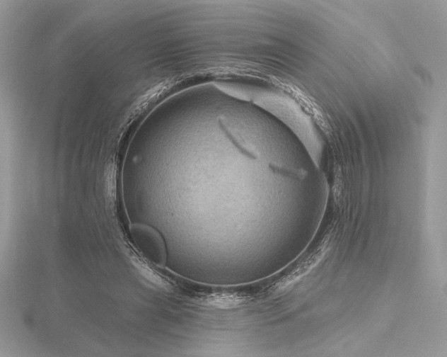 X0000116490445200912091424