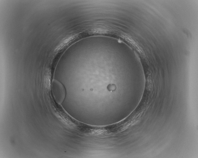 X0000116490446200912091424