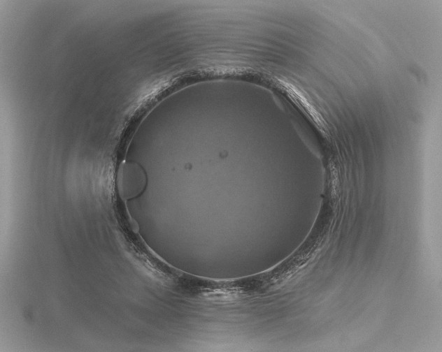 X0000116490447200912091424