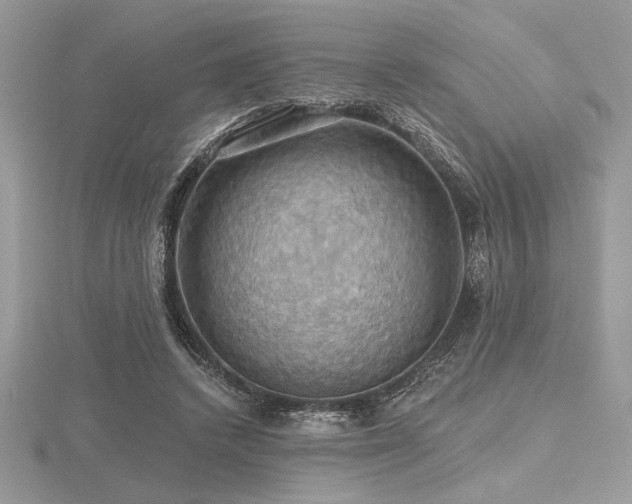 X0000116490448200912091424