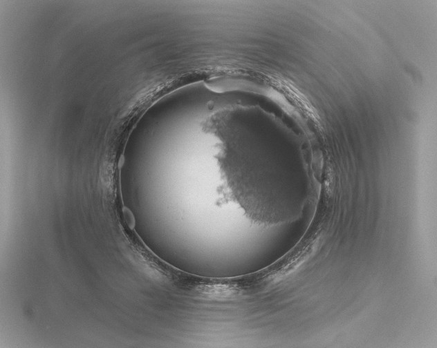 X0000116490449200912091424