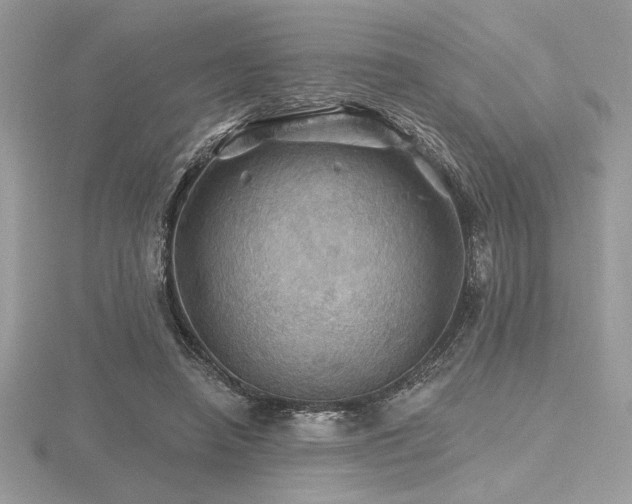 X0000116490450200912091424