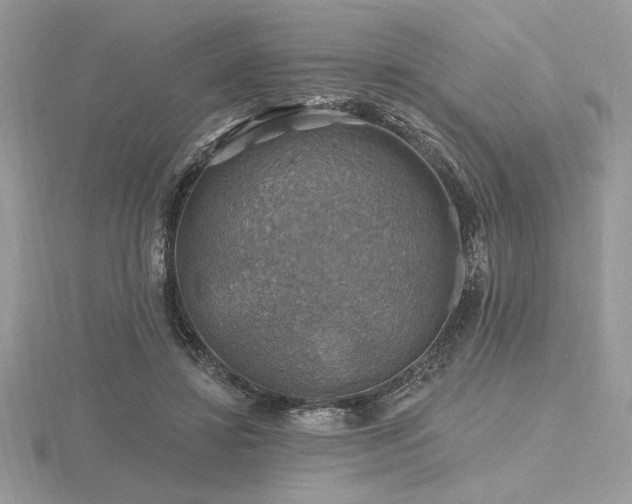 X0000116490452200912091424