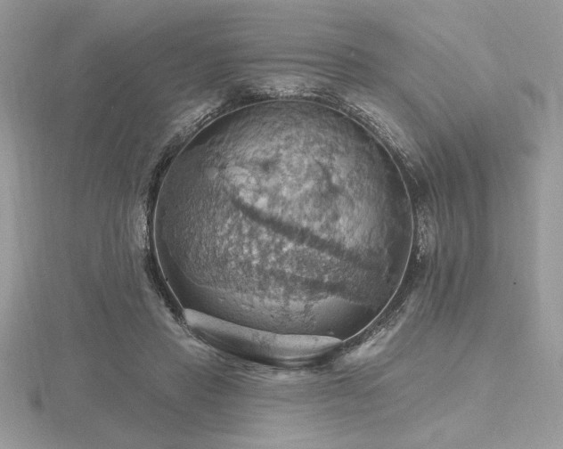 X0000116490453200912091424