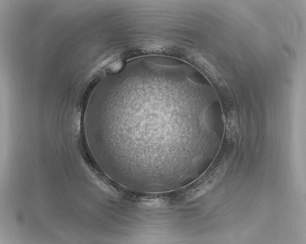 X0000116490454200912091424