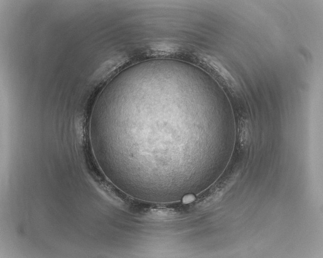 X0000116490455200912091424