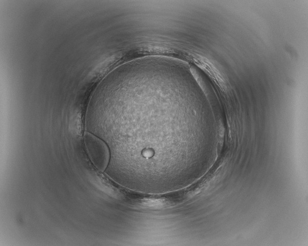 X0000116490457200912091424