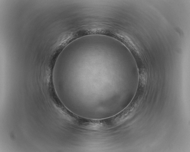 X0000116490458200912091424