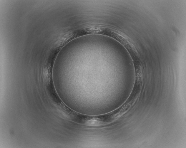 X0000116490460200912091424