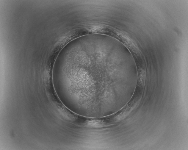 X0000116490461200912091424