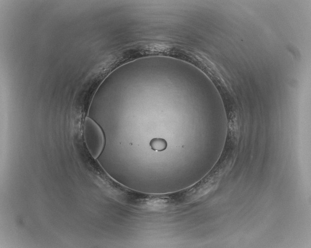 X0000116490462200912091424