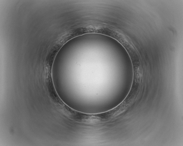 X0000116490463200912091424