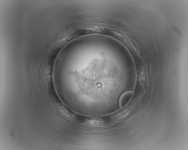 X0000116490466200912091424