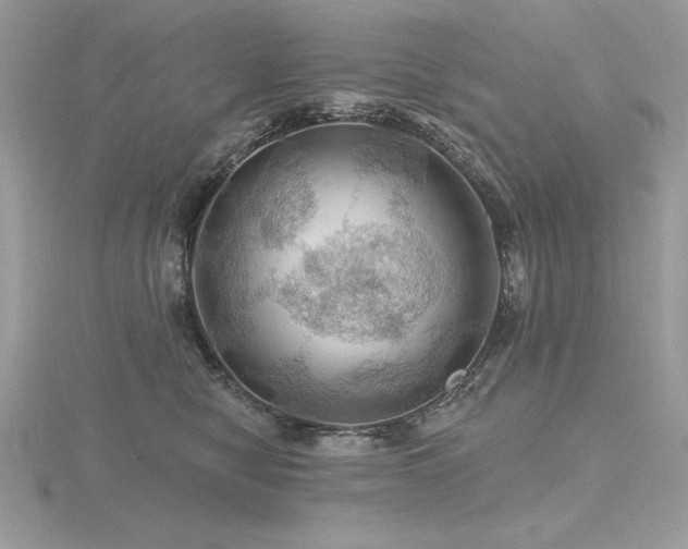 X0000116490470200912091424