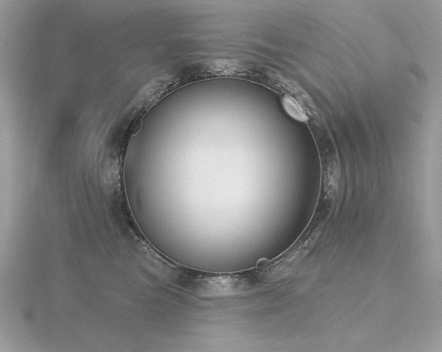 X0000116490473200912091424