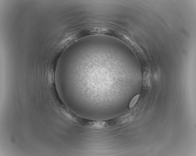 X0000116490474200912091424