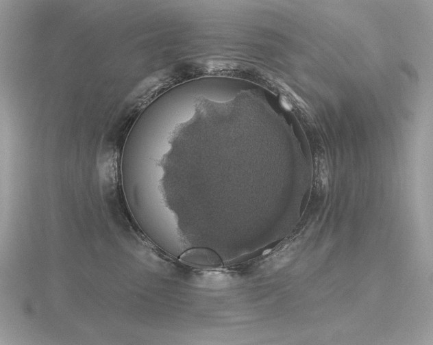 X0000116490475200912091424