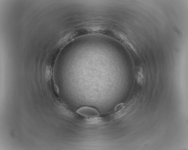 X0000116490476200912091424