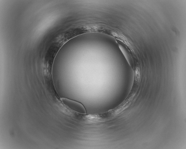 X0000116490477200912091424